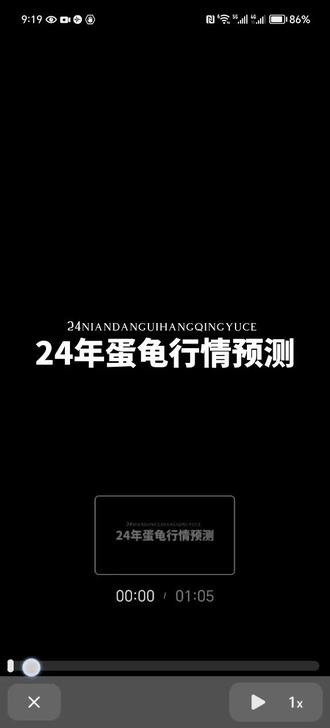 2024蛋龟行情走势……
