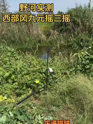 9月19日野钓实测西部风九元摇三摇,绝对最靓的仔!#好物推荐🔥 #西部风九元摇三摇 #好东西一起分享 #抖音钓鱼人 #摇三摇实测