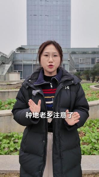 水稻别瞎早播!记住这3个温度,避免死苗减产!#水稻播种 #水稻种植 #水稻品种 #农业 #农民种地不容易