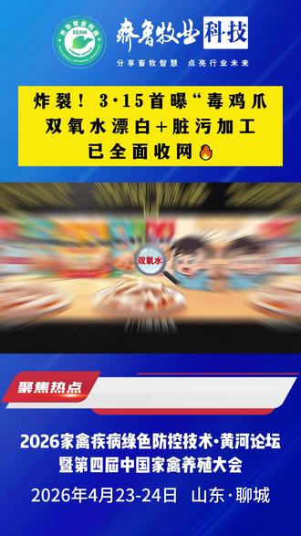 炸裂!3·15首曝“毒鸡爪双氧水漂白+脏污加工已全面收网 #热点 #畜牧养殖 #畜产品