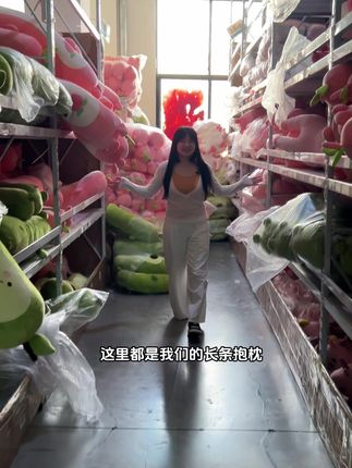 梦中情枕!柔软不塌,拆洗超方便!#抱枕 #好物推荐