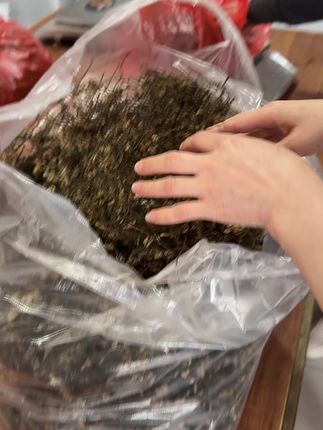 崂山当地拳头菜,俺老板出拳头菜大姐出鸡我没算过账来,后来一算还是拳头菜比鸡便宜