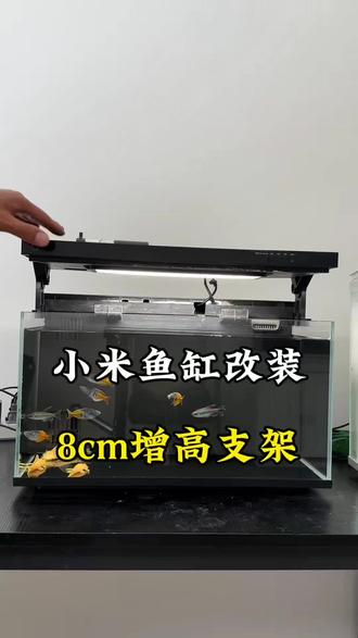 小米鱼缸8厘米旋转增高支架,可以加装壁挂过滤,家里有小米鱼缸的可以试试!#小米鱼缸改造 #小米鱼缸增高支架 #小米鱼缸过滤 #小米鱼缸配件