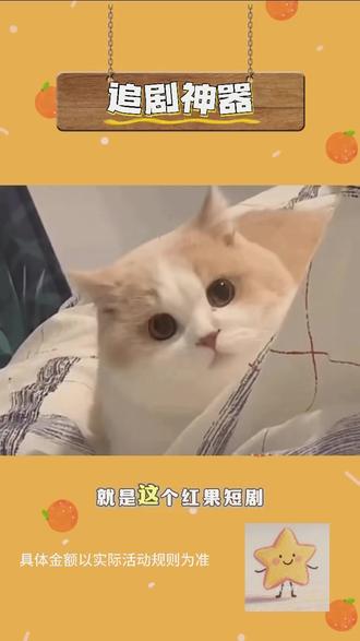 这里的短剧资源超丰富,全部免费看#你的短剧搭子#热门#短剧推荐 #涨知识#娱乐评论大赏