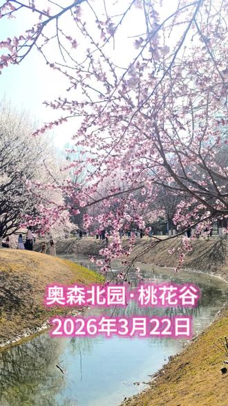 2026年3月22日 奥森北园·桃花谷