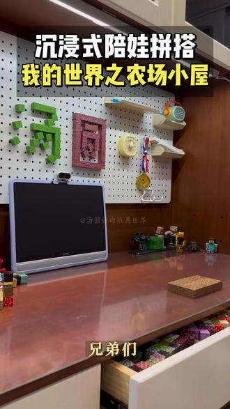 沉浸式陪娃拼搭我的世界之农场小屋#我的世界#我的世界磁力方块#我的世界玩具