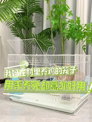 我妈在村里养鸡的笼子,被我拿来养兔没想到这么合适 #萌宠出道计划 #新手养宠 #铲屎官日记 #兔笼 #兔兔