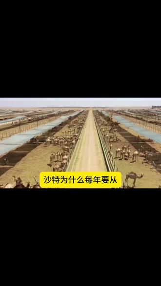 禁止废话科普知识 #科普知识
