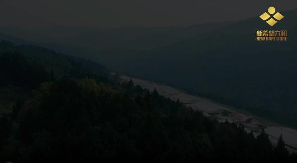 新希望000876:农牧食品行业龙头企业 #饲料 #企业宣传片 #上市公司 #财经#投资 新希望,农业产业化国家重点龙头企业,业务遍及全球近20个国家的中国农牧食品领军企业。不仅是全国饲料销量冠军,还致力于整合全球资源,构建从农场到餐桌的安全食品产业链,为亿万消费者提供健康美味。