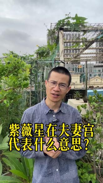紫薇星在夫妻宫代表什么意思? #五行相生原理 #紫微知识分享 #配偶星 #紫薇斗数夫妻宫