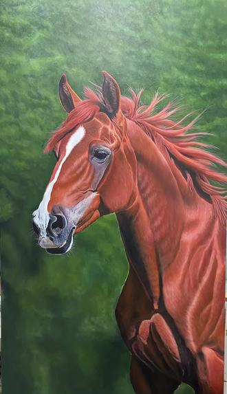 2026新年画幅红红火火的宝马,祝大家新年马到成功,马上来财,马上开心😃#跟着抖音学画画 #日常瞎画 #自学画画打卡 #神奇动物在抖音 #艺术收藏