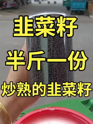 #韭菜籽#炒熟韭菜籽