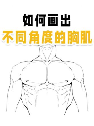 什么?还不会画胸肌?一口气学会不同角度画法 绘画收徒敲111不用mi#画画 #绘画 #零基础学画画 #procreate画画