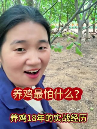 养鸡最怕什么,养鸡18年的实战经验,找到方法,养鸡不求人#养鸡 #养鸡人 #土鸡 #蛋鸡 #散养鸡