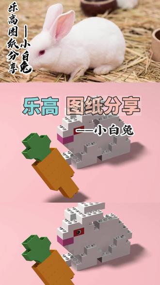 乐高大颗粒搭建—小白兔(片尾附零件图)#小兔兔🐰 #动画 #儿童动画 #脑洞大开 #趣味 #兔子