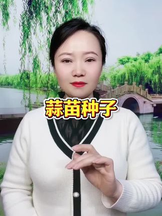 四季宽叶蒜苗种子来喽家人们,四季宽叶蒜苗种子来啦,简单好种植,喜欢的家人们,种起来吧,#蒜苗种子#蔬菜种子