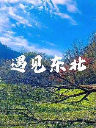 听歌游东北呀#旅游 #东北 #遇见东北 #梓渝#我可以