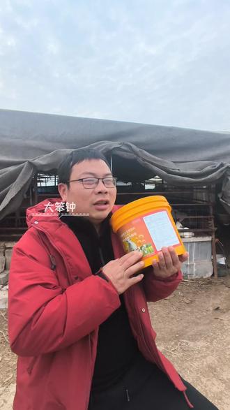 #就想说点大实话 #牛羊养殖 #养羊人 #农村养殖 #农村养殖 母羊下的少,这样办,快递也就这两天了,哥哥姐姐们有备无患,一定提前备