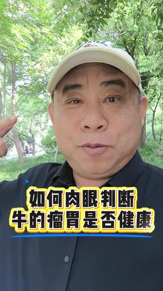 如何肉眼判断牛的瘤胃是否健康 #养牛 # 养牛人 #科学养牛 #育肥牛