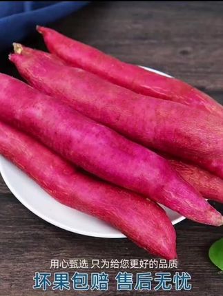 陕西板栗红薯5斤新鲜现挖番薯粉面甜无筋无丝粗粮地瓜临潼小香薯#新鲜现挖 #无丝 #地瓜 #小香薯 #@小店随心推 @巨量本地推 @巨量千川