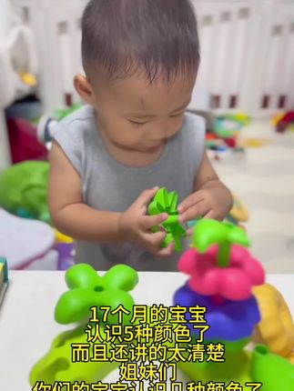 17个月的宝宝 认识5种颜色了 而且还讲的太清楚 姐妹们 你们的宝宝认识几种颜色了? #创作灵感 #专注力培养 #早教益智启蒙 #亲子教育 #益智玩具
