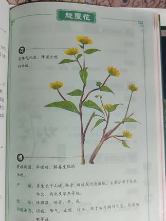 古籍古书#好书分享
