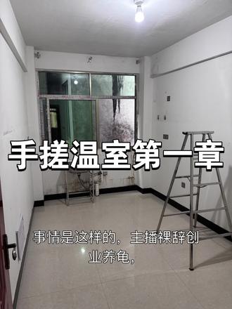 00后裸辞创业养龟一个人手搓温室 #我的养龟日记 #窄桥蛋龟