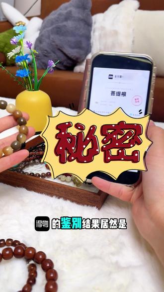 得物的鉴别结果居然是xx!#菩提根 #菩提