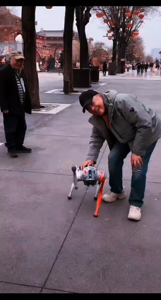 聪明的机器狗___摩仔。