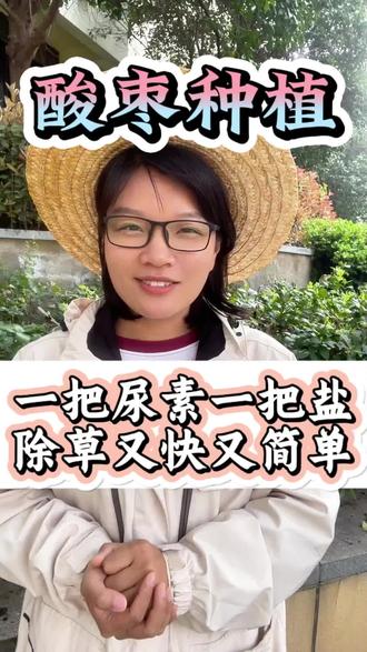 一把尿素一把盐除草又快又简单#酸枣#酸枣种植#酸枣种植技术#三农#三农种植