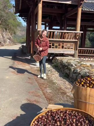 【卖3斤送2斤】新鲜现摘高山板栗当季生栗子难剥皮整箱产地直发