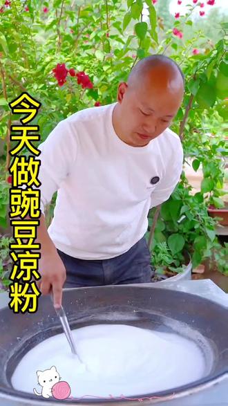 做豌豆凉粉,加水比例五花八门,到底加几倍水合适?怎么才筋道不易断,今天无保留分享给大家记得收藏#我的乡村生活 #农村美食 #凉粉