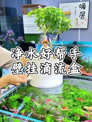 鱼缸鱼池过滤器净水循环养鱼周转箱增氧循环系统过滤设备【不带泵】#十亿流量扶持计划