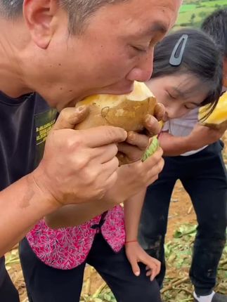 #优质农产品 #产地直发 #新鲜应季水果  #雪莲果