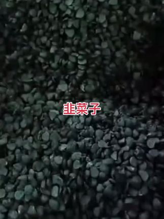 #上热门话题美食 #喜欢的老铁双击加关注评论666 #太好吃了美食分享 #解锁开学新人设 #平凡人的生活日常