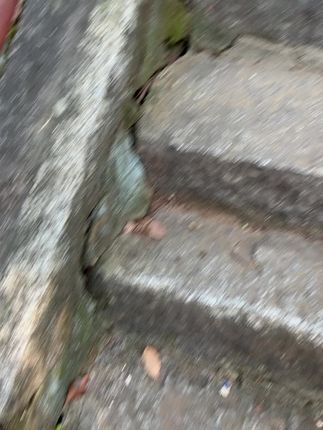 #祈求平安 一年一度个朝仙