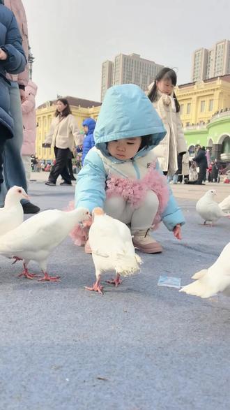 正月初五,财神到家,不妨趁此吉日出门走走,呼吸新鲜空气,感受春意盎然——马年的第一缕春风,正适合吹来一整年的顺遂与欢愉!❤️🍎🍎🍎🌸🌸🌸