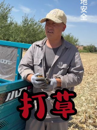 把这片草除干净,准备种点黄花菜。活儿是多,但媳妇理解,儿子支持,心里就有劲儿。#农村生活#农村美食