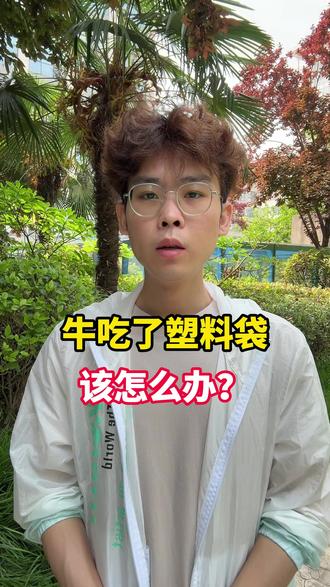 牛吃塑料袋? 教你轻松搞定!警告!塑料袋对牛的危害比你想象的更严重#养牛 #科学养牛 #养牛科普 #养牛技术 #养牛知识