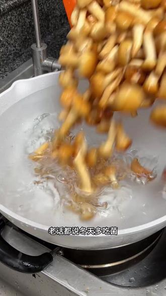 高山清水滑子菇好吃美味又健康 #滑子菇 #菌菇 #健康农产品 #美食 #下饭菜