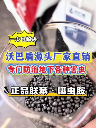 沃巴盾联苯噻虫胺地下害虫防治 #韭蛆 #蒜蛆 #地老虎 #金针虫 #蝼蛄