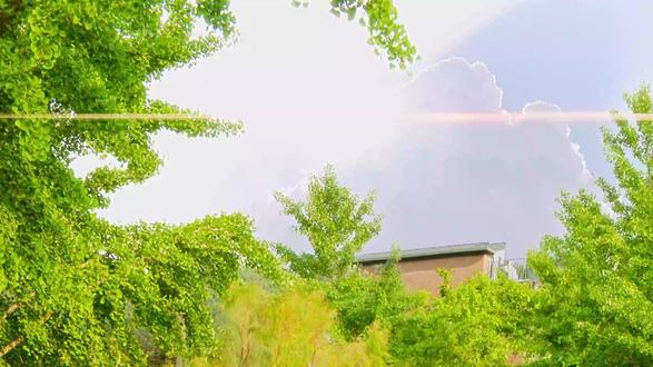 细致解说《无可奈何》 朴赞郁封神!李秉宪从体面中产变杀人狂,荒诞又扎心#朴赞郁 #李秉宪 #孙艺珍 #无可奈何 #电影解说