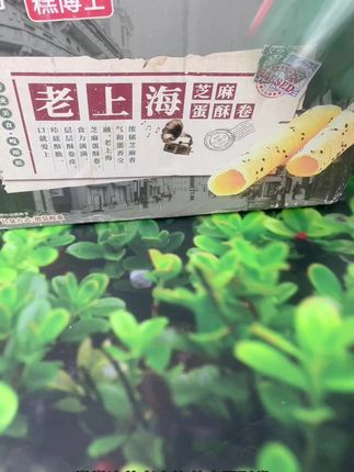 我怀疑这个老板刚来抖音,啥也不懂,挂错链接了。到手一箱九十六根老上海芝麻蛋酥卷,材质价,配料还比较干净,打开就能闻到浓郁的蛋香和芝麻香,吃起来酥脆香醇,越嚼越香,爱吃的家人们赶紧囤。