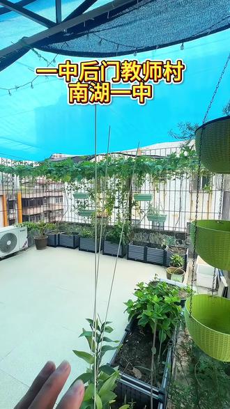 一中正后门教师村,带露台#惠州第一中学