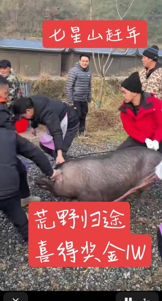 恭喜归途玩着玩着又得冠军了董哥厨艺精湛兄弟搭配成功喜得冠军,美食界赶年和荒野求生兄弟们玩的很开心气氛挺好!归途开过光的嘴说今年他的粉丝都中一个亿万
生双胞胎,希望祝福愿望成真@荒野归途 @归途-董胜 #新年 ##新年快乐 #杀猪宴 @小薇姐