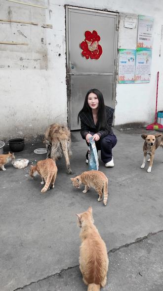 带大家看看我们工厂的小动物 #领南纸业 #双灰纸板 #包装材料 #工厂 #工厂日常