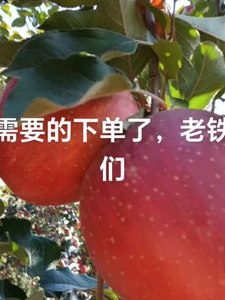 #新鲜采摘 #口感特别好 #优质农产品 国庆节,你们打算去哪里玩呀?