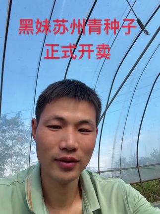 #苏州青种子 #黑妹苏州青 #三农 #农业种植