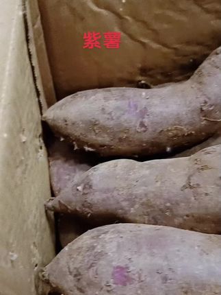 #强烈推荐 #口感特别好 #软糯香甜 #有想吃的过来 #纯天然绿色食品