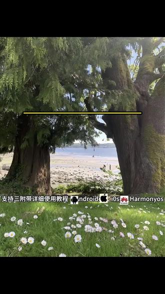 《三禾宝箱》九号出行app v6.9.10下载安装教程来了#电车 #电动车 #九号电动 #九号 #九号出行